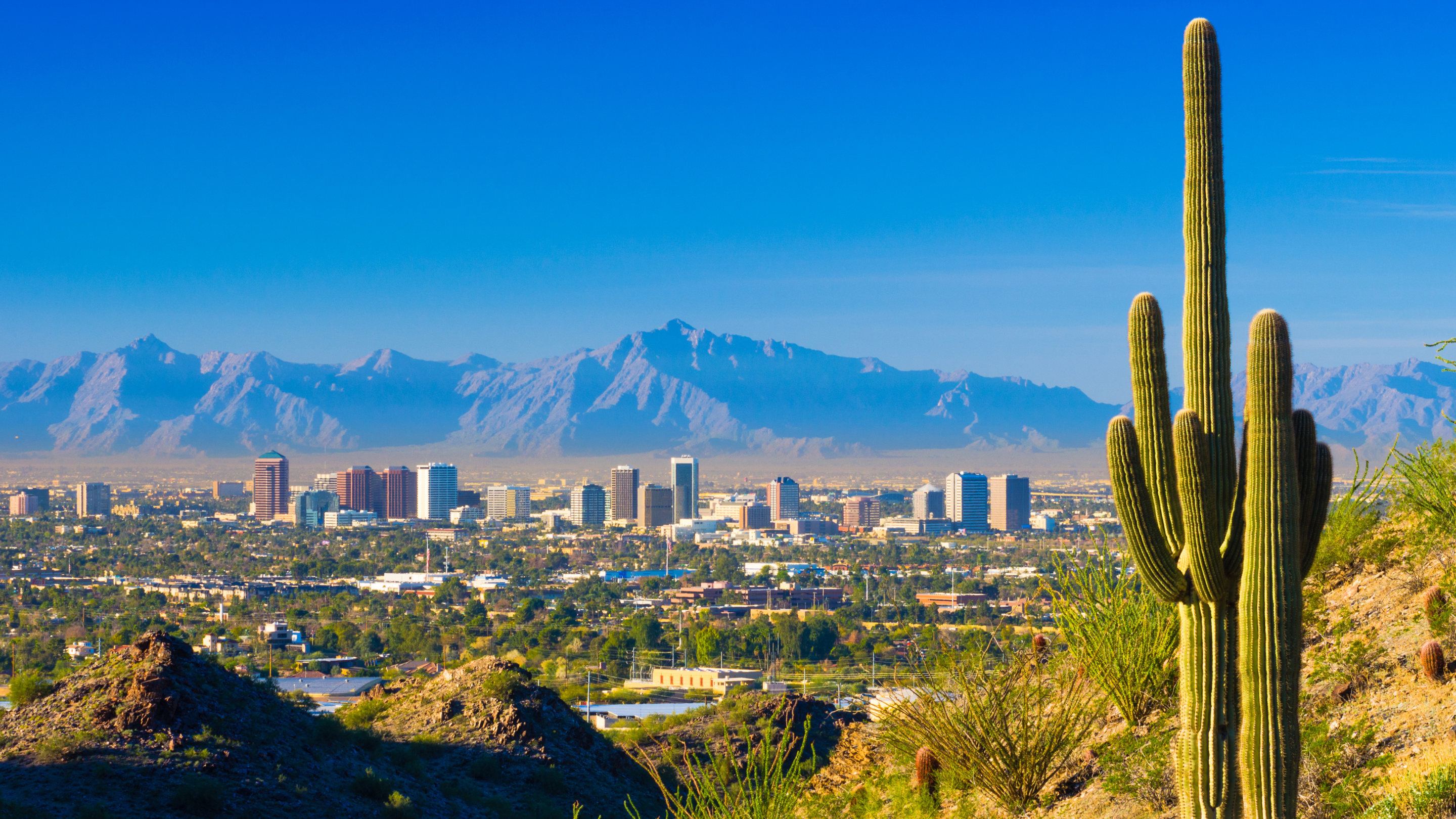 Phoenix